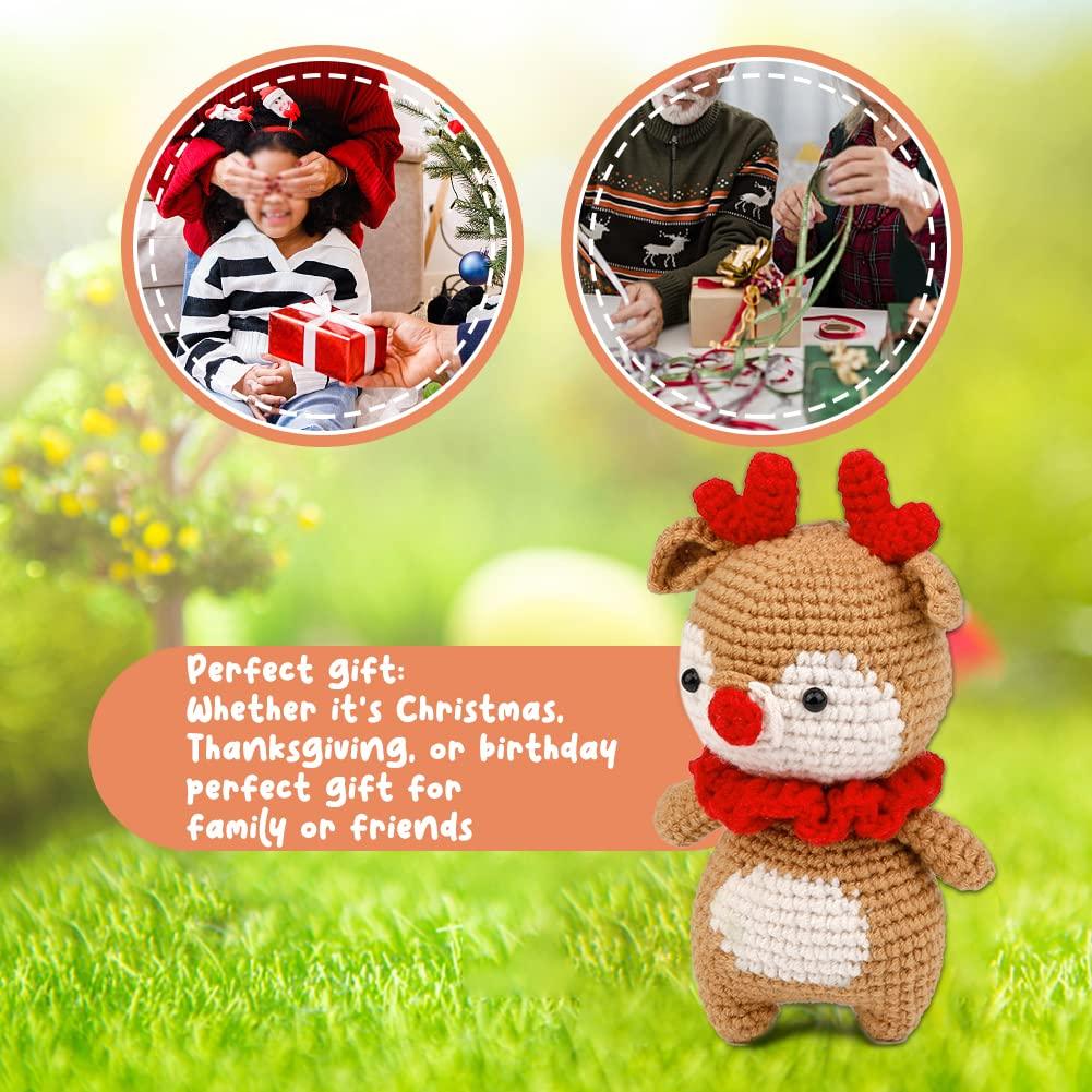 Christmas Ornament Crochet Kit, Crochet Christmas Gift, Gift for
